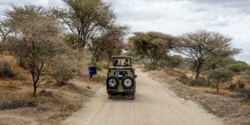 a safari jeep on dirt road