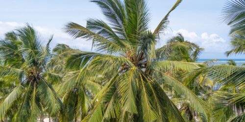 Malindi Kenya