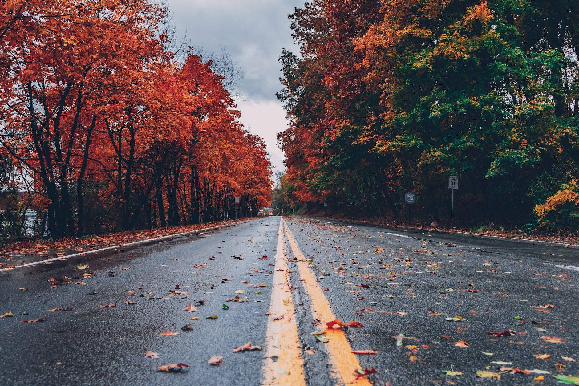 London In Autumn