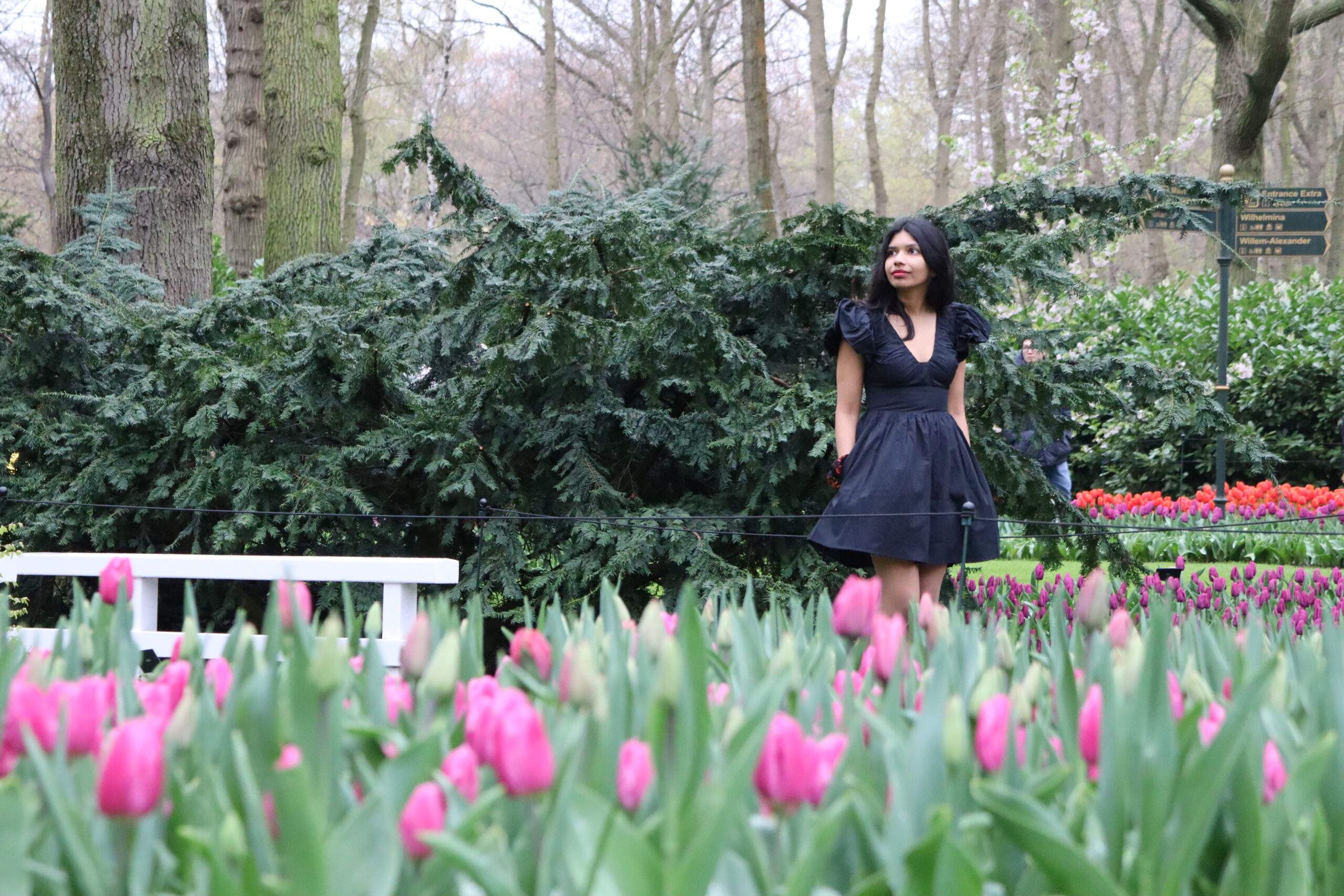 Keukenhof Gardens