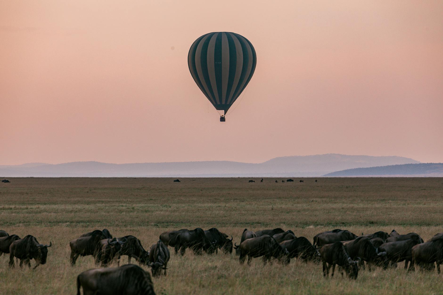 Hot Air Balloon Kenya
