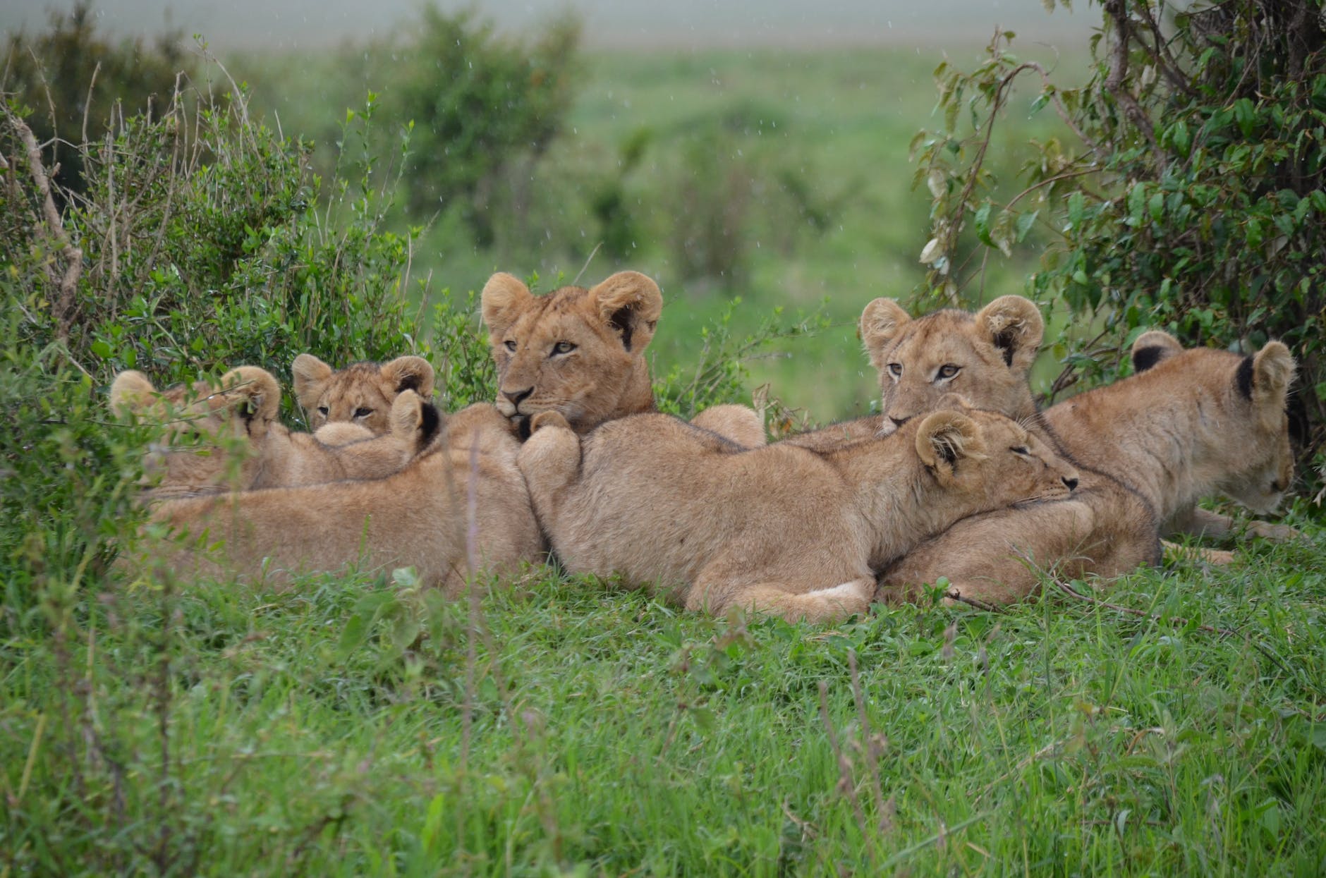 Kenya Itinerary