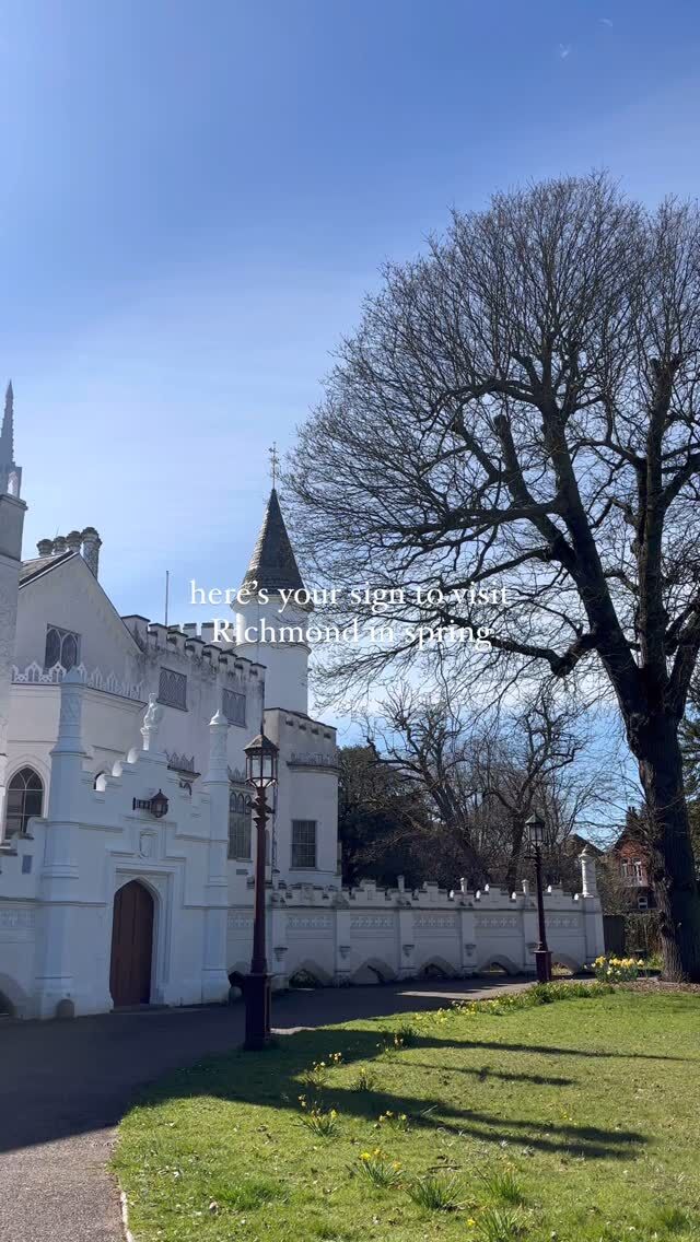 This is how you escape the city without leaving it🌳🚤 

From scenic riverside hikes and charming cobblestone streets to hidden historic houses, this is a little slice of London you must visit.

Things to do include:

- Richmond Park
- Hiking the Thames Path
- Kew Gardens
- Ham House and Garden
- Marble Hill
- Strawberry Hill House
- Enjoy a Boat Trip

📍Richmond and Twickenham, London 

#travel #explore